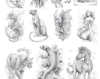 11 Pacote de amostras de Graustufen Fantasy Malvorlagen 2