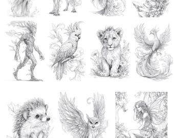 11 Pacote de amostras de Graustufen Fantasy Malvorlagen 1
