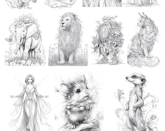 11 Pacote de amostras de Graustufen Fantasy Malvorlagen 3