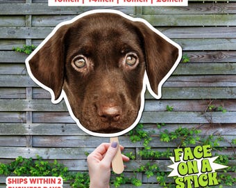 Custom Pet Face on Stick | Photo Booth Party Prop