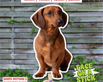 Custom Dog Cutout on a Stick | Personalized Pet Photo Prop | Custom Lifesize Pet Cutout | Dog Photo Booth Prop | Personalized Dog Cutout
