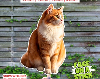 Custom Pet Face on a Stick | Personalized Cat Photo Prop | Custom Pet Cutout | Pet Cardboard Cutout | Lifesize Pet Cutout