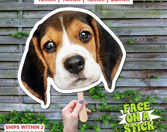 Custom Face Cutout on a Stick | Party Photo Booth Prop