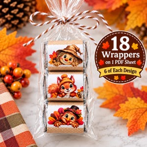 May include: Three chocolate bars in a clear plastic bag tied with brown and white twine. Each bar features a wrapper with a cartoon character: a scarecrow, a squirrel, and a turkey. A circular tag reads 18 Wrappers on 1 PDF Sheet 6 of Each Design.