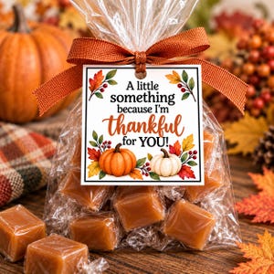 May include: A clear plastic bag filled with square caramel candies, tied with a burnt orange ribbon and a square tag. The tag features the text A little something because I'm thankful for YOU! with illustrations of orange and white pumpkins.