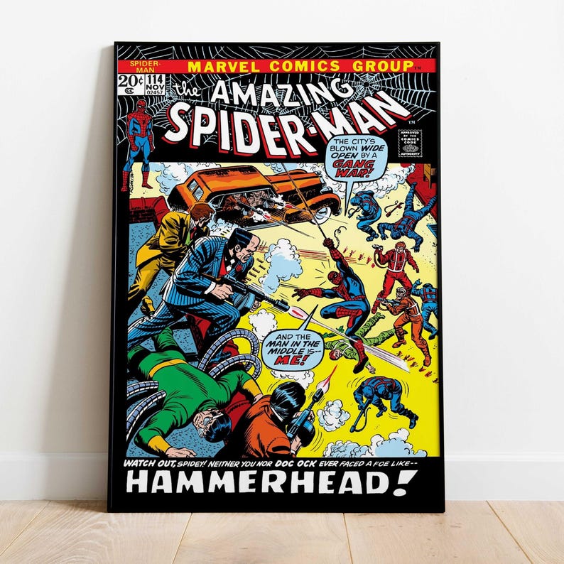 May include: A framed comic book cover of The Amazing Spider-Man #114. The cover features Spider-Man in action, along with other characters, against a backdrop of a city scene. The title and issue number are prominently displayed at the top.