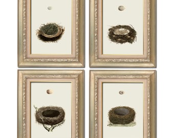 Vintage Vogel Nest Set von vier Digital Download: 8 x 10 große Bilder, ähnlich wie Wiederherstellung Hardware Baby