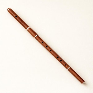 Puede incluir: Una flauta de madera con un acabado marr&oacute;n oscuro y detalles plateados. El instrumento tiene varios agujeros para los dedos y est&aacute; dise&ntilde;ado para tocar m&uacute;sica. La flauta es un instrumento musical.