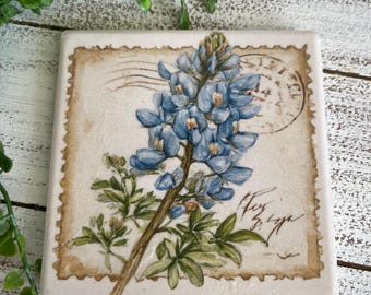 Texas Bluebonnet Coaster - home decor Texan pride farmhouse wildflower western lone star state