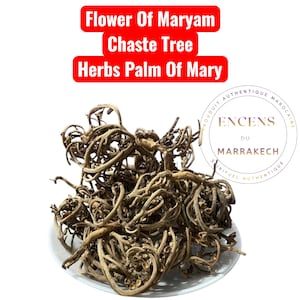 Kaf Maryam Kräuter – 100 % natürlich und rein | Maryams Palmenkraut