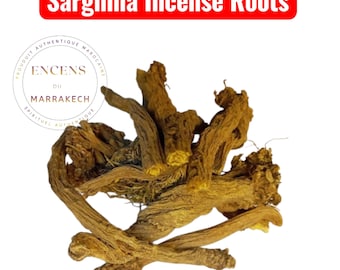 Sarghina Incense Roots – Natural Moroccan Bakhoor, Air-Purifying & Relaxing, Perfect for Meditation