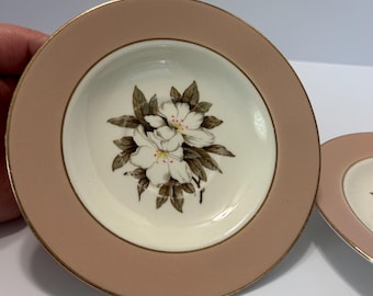 Conjunto de 2 pires vintage Sevron Fair Lady rosa, porcelana floral de meados do século XX, para xícaras de chá, ideal para reposição de louça e decoração estilo cottagecore.