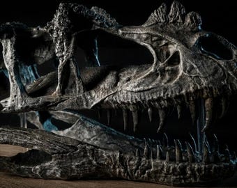 Museum-Quality CERATOSAURUS Skull Replica 40 cm | Hand-Painted Dinosaur Fossil Sculpture on Wooden Base | Paleontology