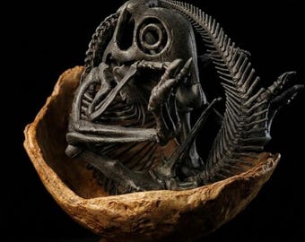 Maiasaura Embryo Dinosaur Egg Replica-Museum Quality Display, FSSL Store
