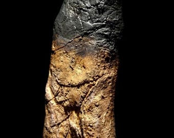 Giant T-Rex Tooth Replica (30cm) - Museum Quality Resin