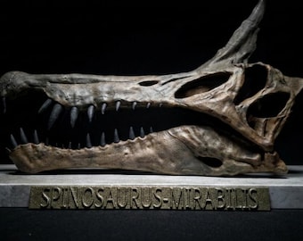 Spinosaurus Mirabilis Skull Replica 40cm Wooden Base Museum Quality