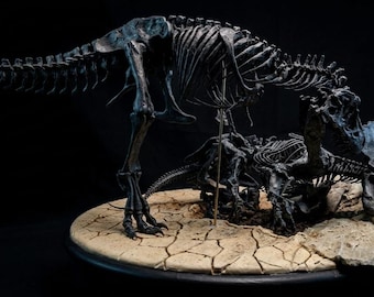T-Rex vs Triceratops Battle Diorama - Monumental 55 cm Fossil Skeleton - Exclusive Valla Dinos Paleo Art - Museum Quality Statue