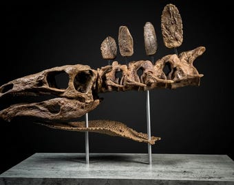 Stegosaurus Skull With Neck and Dorsal Plates Resin Replica 40 cm-Museum Quality