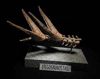 Museum Grade Stegosaurus Tail Replica | Thagomizer Dinosaur Fossil Sculpture | Jurassic Paleoart Display | Cabinet of Curiosities | FSSL