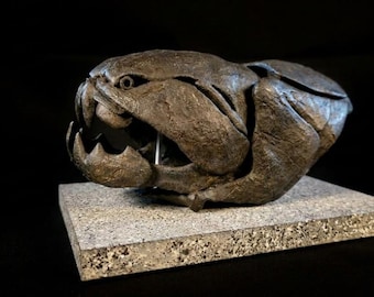 Dunkleosteus Skull Fossil Replica | Prehistoric Placoderm Fish Bust | Devonian Predator Decor | Paleontology Cabinet of Curiosities