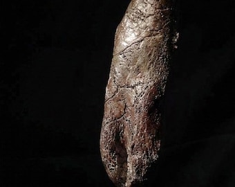 Giant T-Rex Tooth Replica (30cm) - Rooted Tyrannosaurus Fossil - Museum Quality Resin Cast - Jurassic Desk Decor