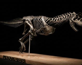 Carnotaurus-Run Resin Replica Full Skeleton 85 cm, Museum Quality