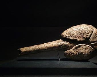 Ankylosaurus Tail Club Replica | Museum Quality Dinosaur Fossil Display | Cretaceous Paleontology Decor