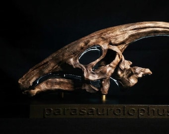 Museum-Quality Parasaurolophus Skull Replica 30cm | Hand-Painted Dinosaur Fossil Sculpture on Wooden Base | Paleontology