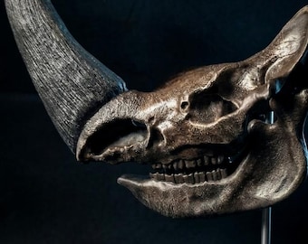 Woolly Rhino Skull Replica | Museum Quality Prehistoric Fossil Display | Coelodonta Antiquitatis Ice Age | Paleontology Decor