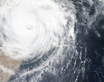 A Gardener's Guide to Hurricane Preparedness