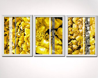Yellow Gray Grey Fine Art - Hydrangea Prints - Photo Yellow Grey Gray Wall Art , (3) 8x10 piece set - Shipping Included w/in Cont. US