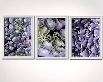 Fine Photo Art - Hydrangea Prints - Purple Lavender Wall Art , (3) 8x10 piece set - Shipping Included w/in Cont. US
