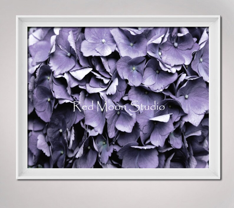 Fine Photo Art Hydrangea Prints Purple Lavender Wall Art , 3 8x10 Piece