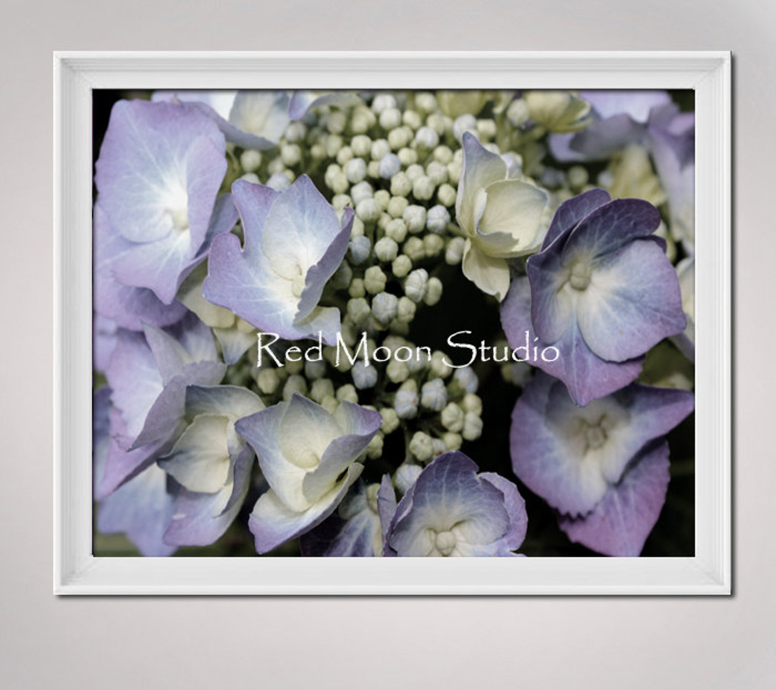 Fine Photo Art Hydrangea Prints Purple Lavender Wall Art , 3 8x10 Piece