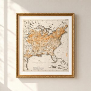 Distribuzione della ricchezza, Stati Uniti — Francis A. Walker, 1874 / Stampa Giclée di alta qualità / Mappa statistica americana vintage da appendere al muro
