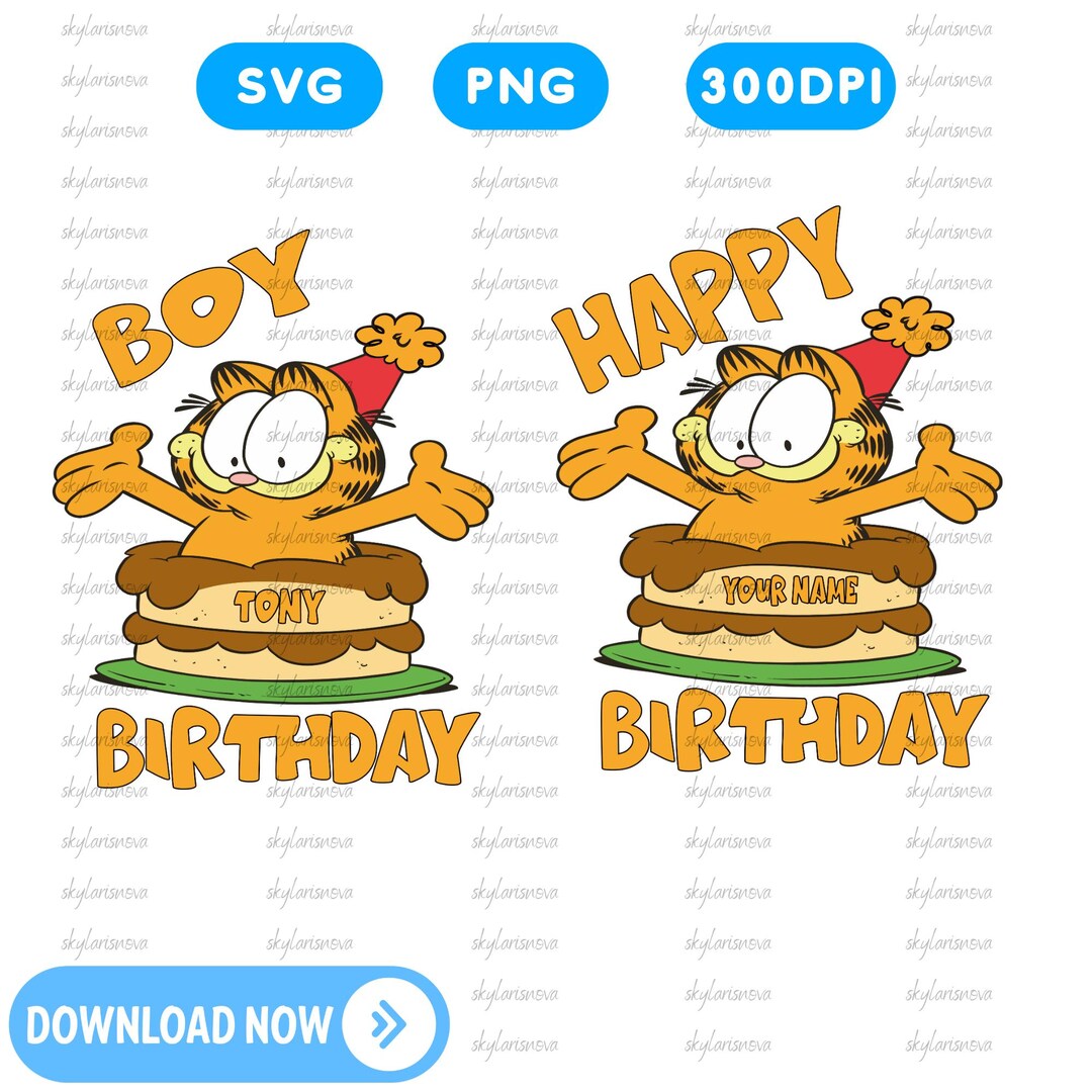 Garfield Happy Birthday and Birthday Boy Party Decor Set, Birthday ...