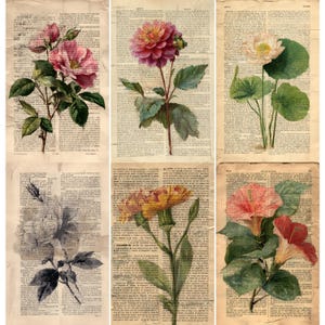 May include: A rustic wooden sign with the text "Welcome" in a handwritten style. The sign is painted white with a distressed finish, and a small, decorative heart is attached to the bottom. The sign is designed for indoor or outdoor use.