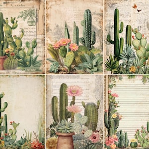 Może przedstawiać: Kolaż sześciu botanicznych wydruków w stylu vintage przedstawiających różne kaktusy i sukulenty. Wydruki prezentują szczegółowe ilustracje różnych gatunków kaktusów, niektóre z różowymi kwiatami, na tle postarzanego papieru z ręcznie pisanym tekstem.