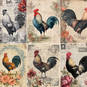 Puede incluir: Un collage de seis ilustraciones de gallos de estilo vintage. Cada gallo, con su cresta roja, destaca sobre un fondo de papel envejecido con flores y escritura. Los gallos son el punto central, con colores vibrantes.