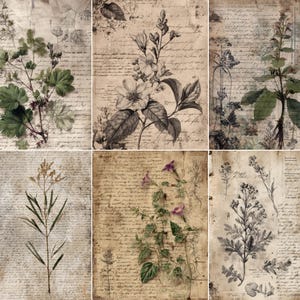 May include: A collection of six botanical prints featuring detailed illustrations of various plants and flowers. The prints are in shades of green, gray, and brown, with a vintage aesthetic. Each print has a handwritten script background, adding to the antique feel.