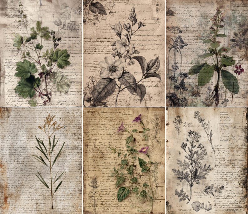 May include: A collection of six botanical prints featuring detailed illustrations of various plants and flowers. The prints are in shades of green, gray, and brown, with a vintage aesthetic. Each print has a handwritten script background, adding to the antique feel.