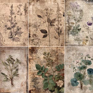 May include: A collage of six vintage-style botanical prints. Each print features detailed illustrations of various plants and flowers, overlaid on aged paper with handwritten script. The color palette is muted, with sepia tones and hints of green and blue.