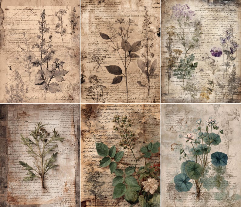 May include: A collage of six vintage-style botanical prints. Each print features detailed illustrations of various plants and flowers, overlaid on aged paper with handwritten script. The color palette is muted, with sepia tones and hints of green and blue.