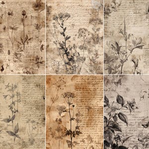 May include: A collage of six vintage-style botanical prints. Each print features sepia-toned illustrations of various flowers and plants, overlaid with handwritten script. The overall aesthetic is antique and artistic, with a focus on nature and historical design.