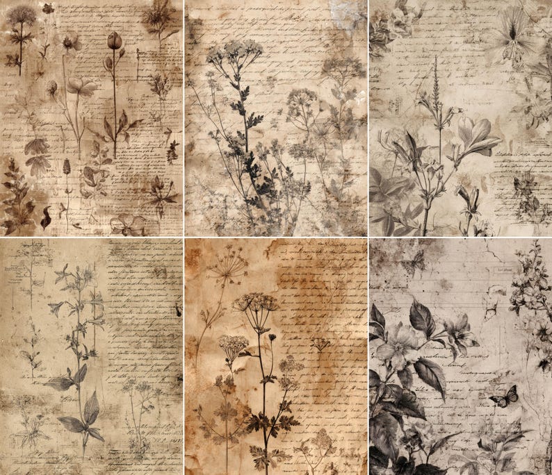 May include: A collage of six vintage-style botanical prints. Each print features sepia-toned illustrations of various flowers and plants, overlaid with handwritten script. The overall aesthetic is antique and artistic, with a focus on nature and historical design.
