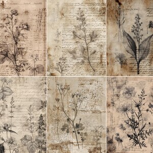 May include: A collage of six vintage-style botanical prints. Each print features detailed illustrations of various flowers and plants in shades of gray and brown, set against a backdrop of aged paper with handwritten script. The overall aesthetic is antique and artistic.