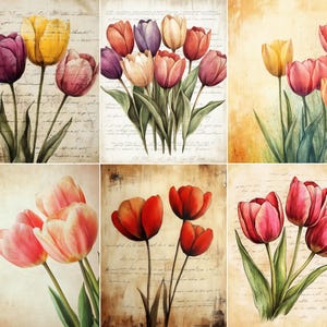 May include: A set of six wall art prints featuring watercolor-style tulips in various colors including red, yellow, pink, and purple. Several prints display script handwriting in the background, while others feature solid or textured neutral backgrounds.