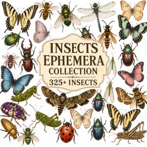 Puede incluir: Una colección digital de ilustraciones de insectos que incluye varias mariposas, escarabajos, abejas, saltamontes y una libélula alrededor de una etiqueta central que dice INSECTS EPHEMERA COLLECTION 325+ INSECTS en letras marrones.