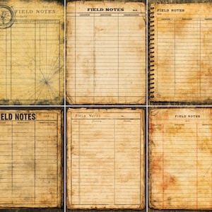 May include: A collection of six rectangular paper sheets featuring a vintage aesthetic with aged, stained textures. Each sheet is titled FIELD NOTES and includes columns for location, discovery, and observations, with some showing spiral binding.