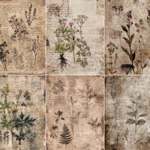 May include: A collage of six vintage-style botanical prints. Each print features detailed illustrations of various plants and flowers, overlaid on aged paper with handwritten script. The color palette is muted, with sepia tones and hints of green.